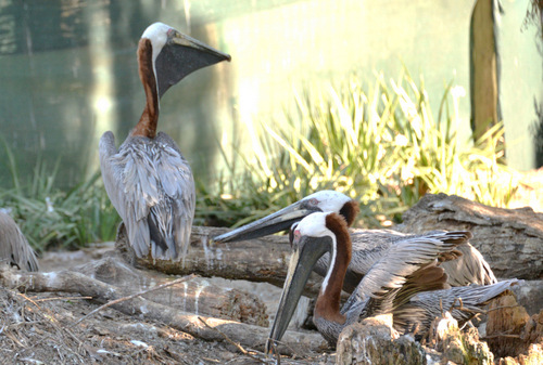 World of Birds Wildlife Sanctuary.